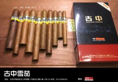 高希霸罗布图价格ROBUSTO