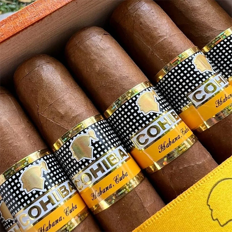 高希霸世纪六（Cohiba Siglo VI）雪茄